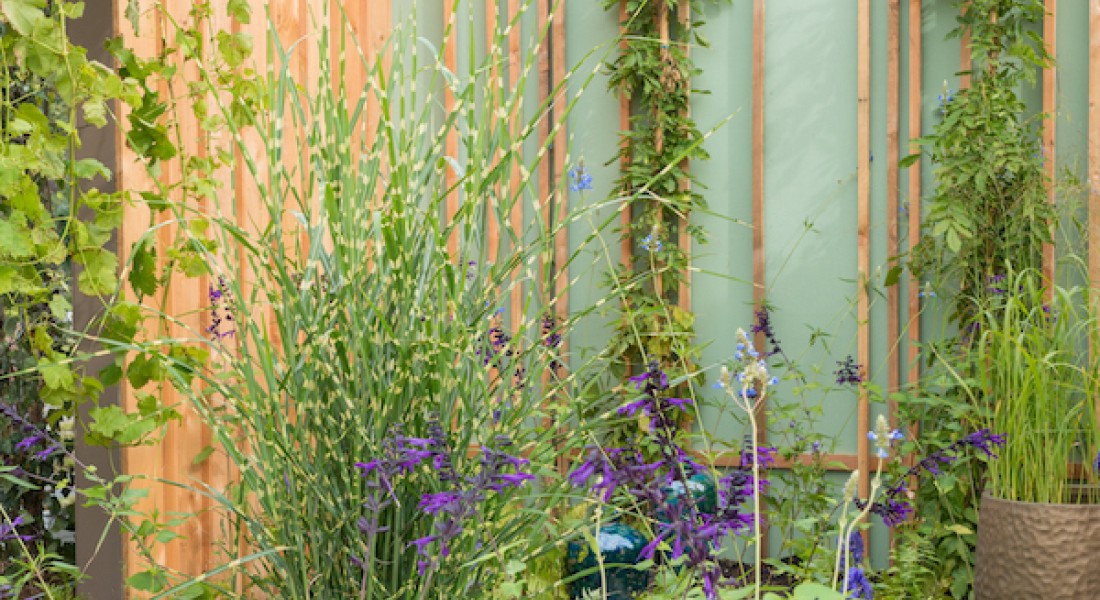 Tuintrends waar ook de bijen van houden