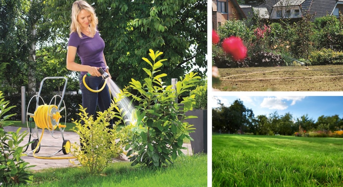 5x manieren om water te besparen in de tuin