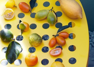 Citrusboompjes, fris en fruitig in de tuin - 