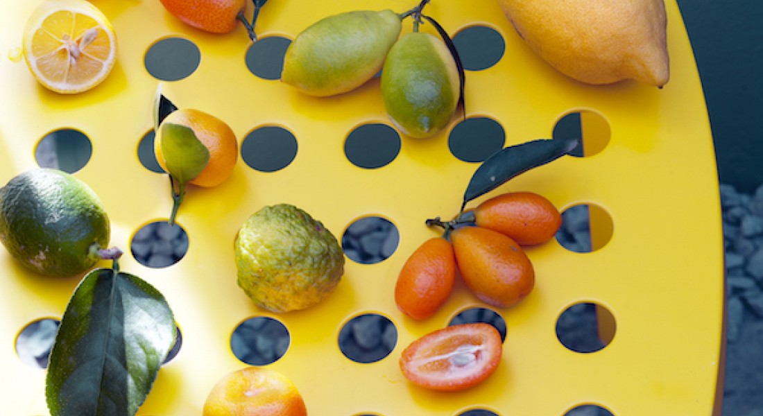 Citrusboompjes, fris en fruitig in de tuin