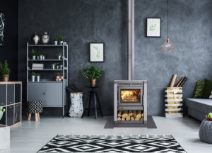 Voorbeelden van moderne houtkachels - 