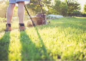 Zo maak je van tuinieren een leuke bezigheid! - 