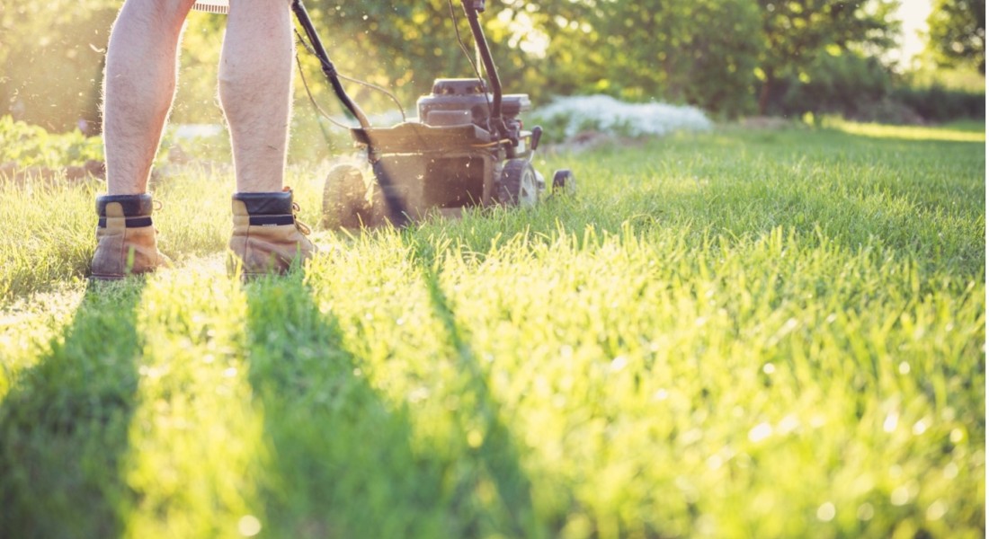 Zo maak je van tuinieren een leuke bezigheid!