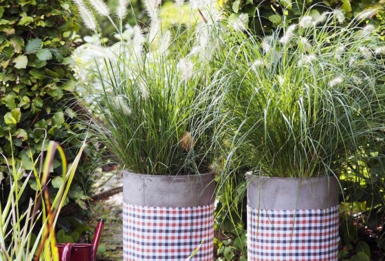 10X tuinplanten waar je ontspannen van wordt - WOLF-Garten