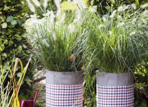 10X tuinplanten waar je ontspannen van wordt - WOLF-Garten