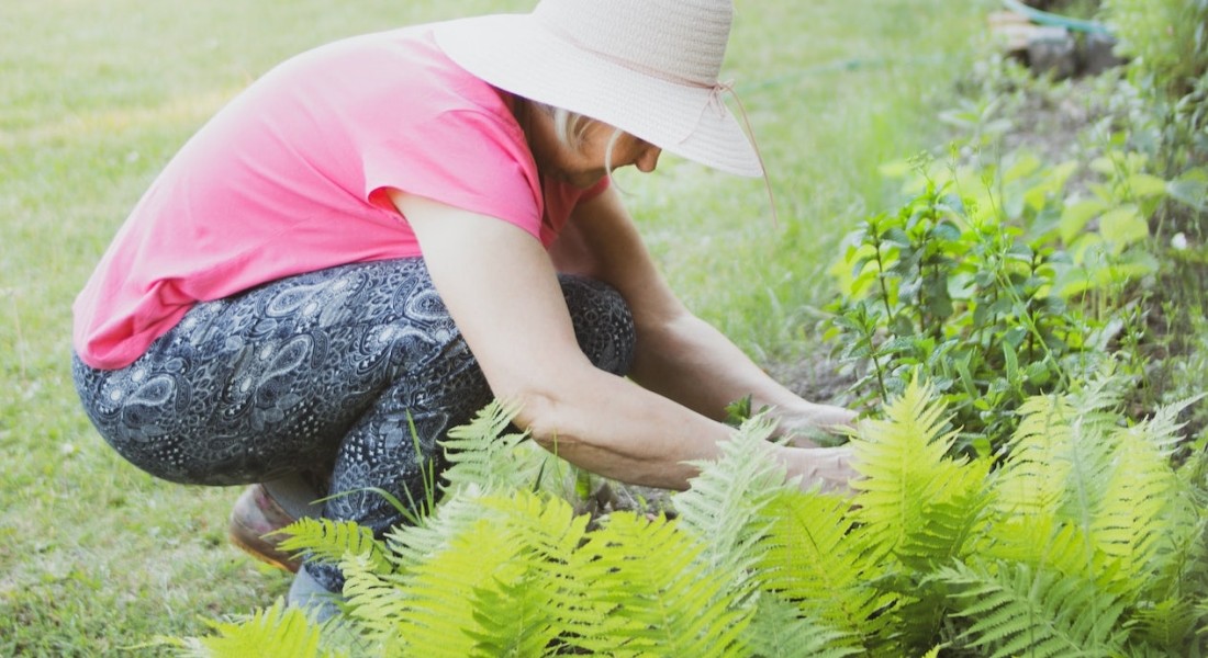 Onkruid verwijderen? Onze tips!