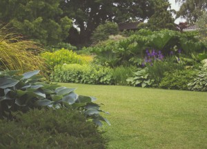 Belangrijke onderdelen voor de tuin - 