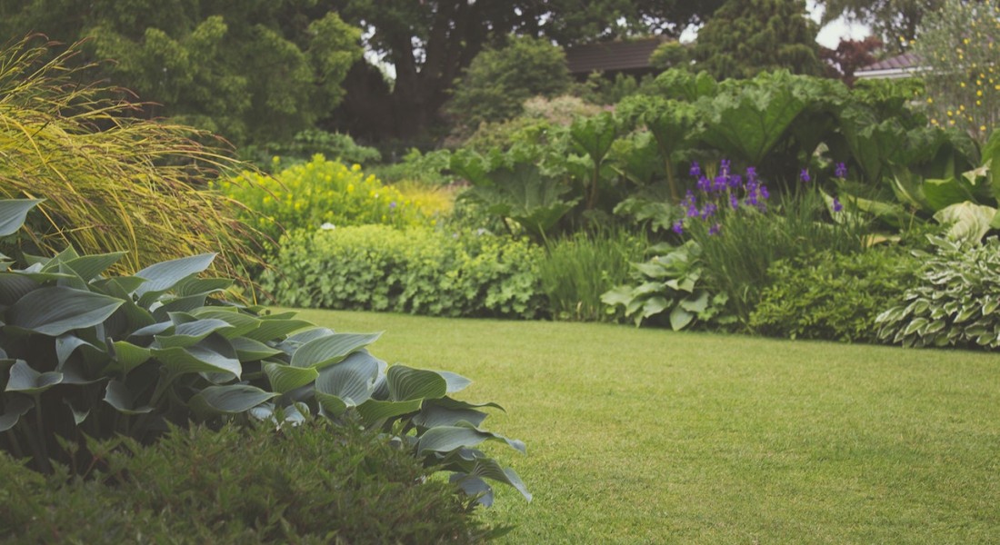 Belangrijke onderdelen voor de tuin