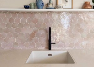 Roze Hexagone Zelliges | Designtegels.nl - 