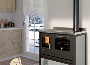 Eco fornuis | DeManincor