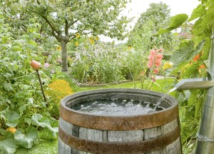 TuinIdee 2018: start van nieuw tuinseizoen - 