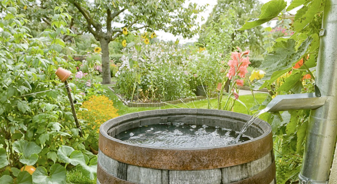 TuinIdee 2018: start van nieuw tuinseizoen