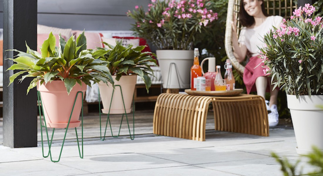 Planten op een voetstuk