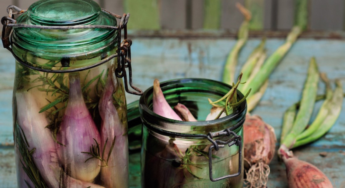 Oogsten uit eigen tuin