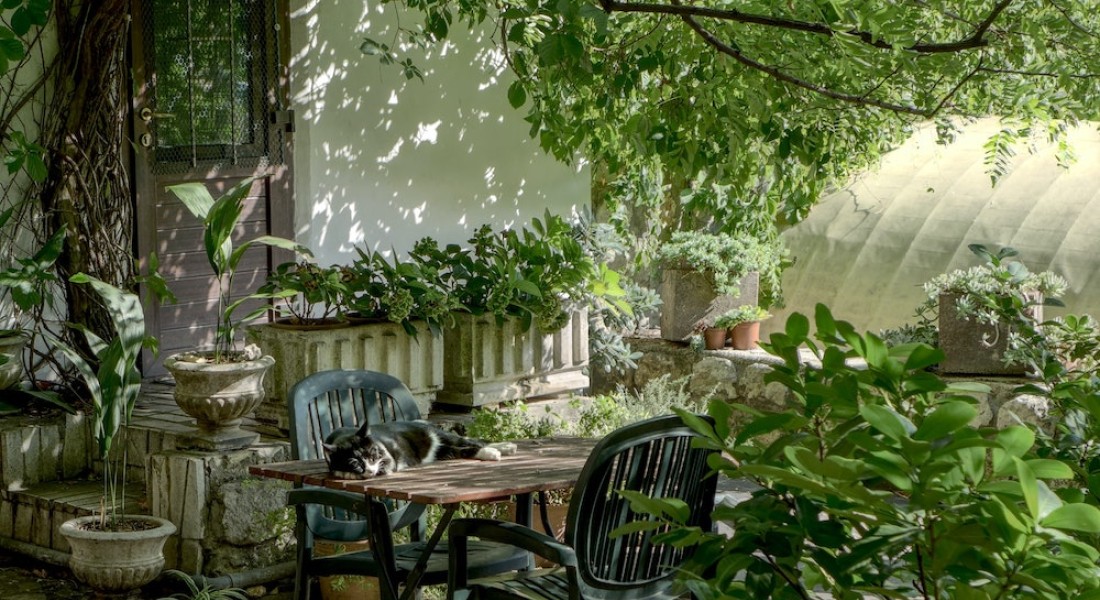 Jouw tuin energie-neutraal maken; zo doe je dat