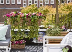 Terras- en balkon tips & trends - 