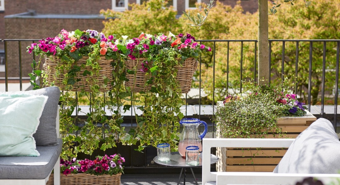 Terras- en balkon tips & trends