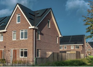 Welk type zonnepanelen moet je kopen? - 