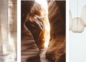 Moodboard van Janet Woltman: De kracht van de natuur! - 