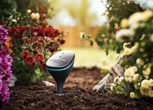 Slimme tuin: Hé Google, geef de tuin water - 