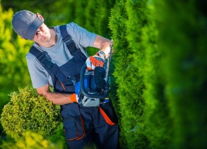 Tuinieren als een pro: deze items moet je hebben - 