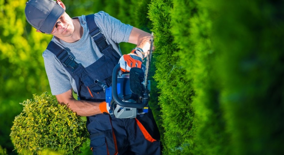 Tuinieren als een pro: deze items moet je hebben