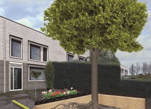 Tips om slim om te gaan met regenwater - Aco House & Garden