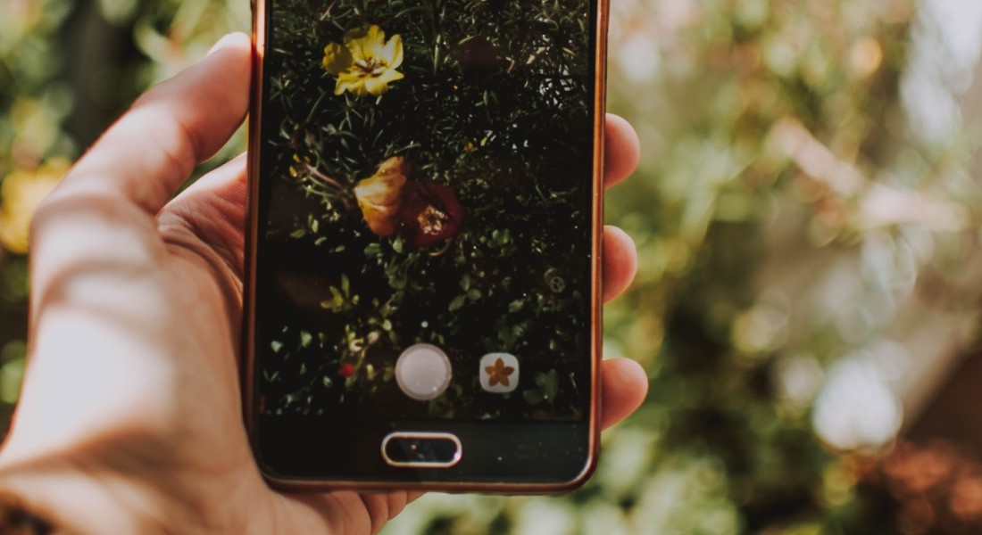 Beste apps bij het tuinieren