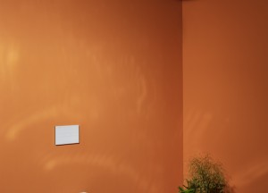 Douche wc cleanet | LAUFEN