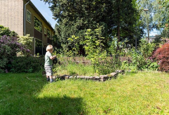 Tuiny Forest: microbos in je tuin tegen droogte - WOLF-Garten