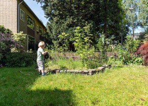 Tuiny Forest: microbos in je tuin tegen droogte - WOLF-Garten