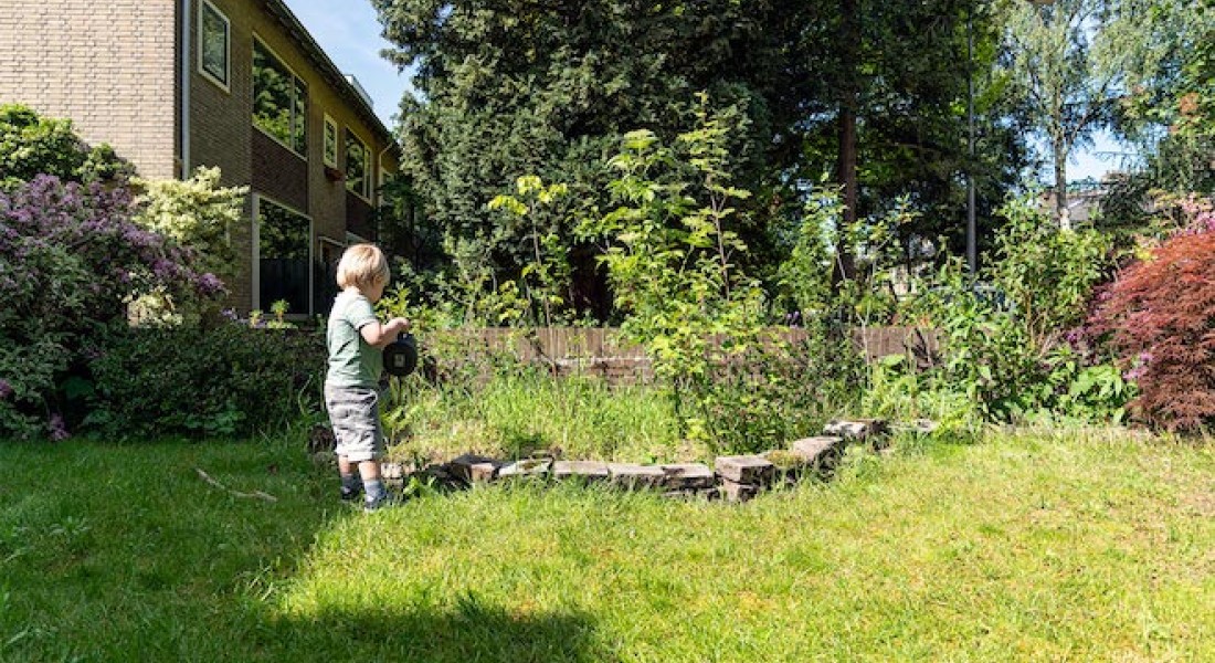 Tuiny Forest: microbos in je tuin tegen droogte
