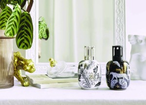 Haal de jungle in huis - 