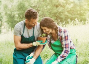 Maak je tuindroom waar! - 