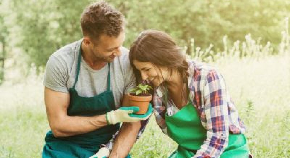 Maak je tuindroom waar!