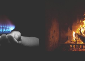 Deze app vertelt wanneer stoken op hout voordelig is - 