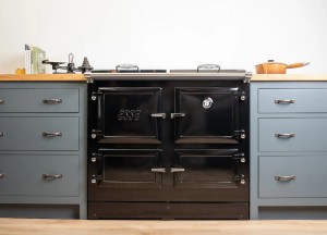 Elektrische cooker 1000 X | Esse - Esse Cookers &amp; Stoves