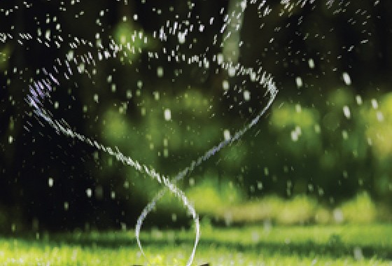 Tips bij droogte en wateroverlast in de tuin - Aco House &amp; Garden