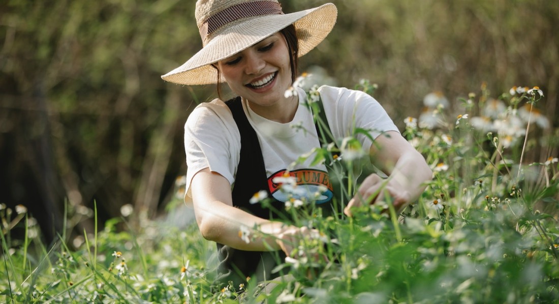 Een onderhoudsvriendelijke tuin in 2023?
