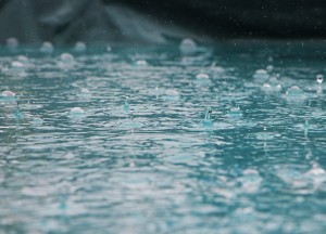 Wateroverlast in de tuin? Tips om slim om te gaan met regenwater - 