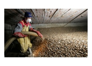 Duurzame schelpen isolatie | Isoschelp - Isoschelp