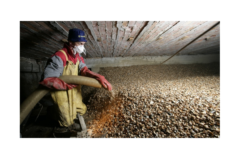 Duurzame schelpen isolatie | Isoschelp