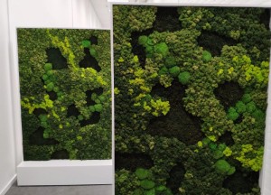 Mobiele moswand | Moswens