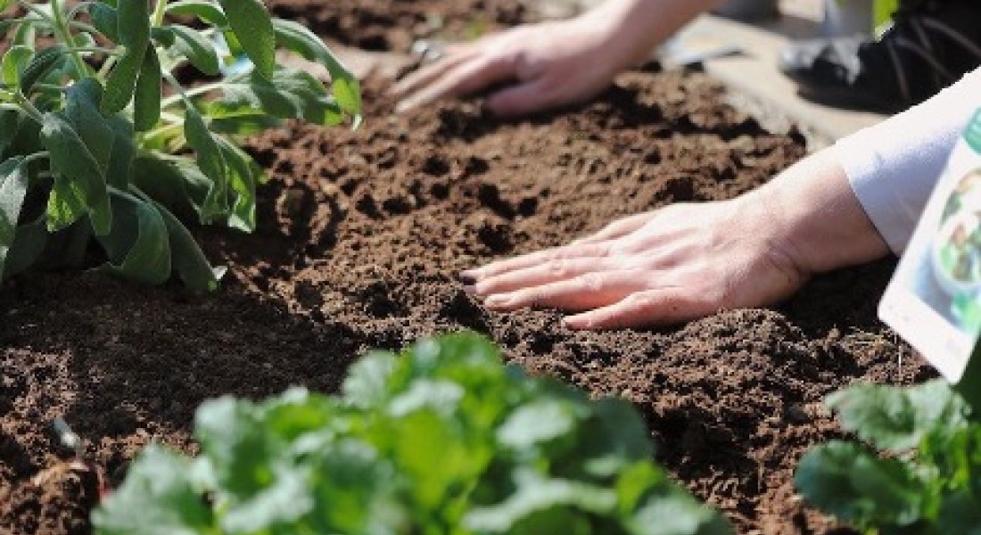 Goede tips om meer uit je tuin te halen
