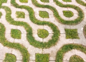 Dit zijn de 3 tuintrends voor komend jaar - 