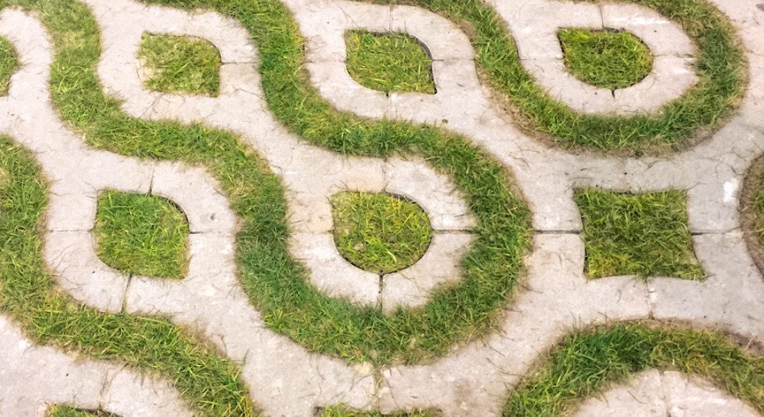 Dit zijn de 3 tuintrends voor komend jaar