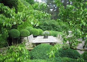 Draadloos snoeien en maaien - 