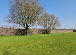 Doe-het-zelf wilgentenen schutting | Wilhout