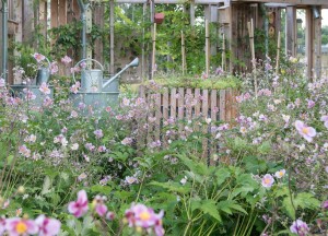 Trend, de natuur mag z'n gang gaan in 2023 - 