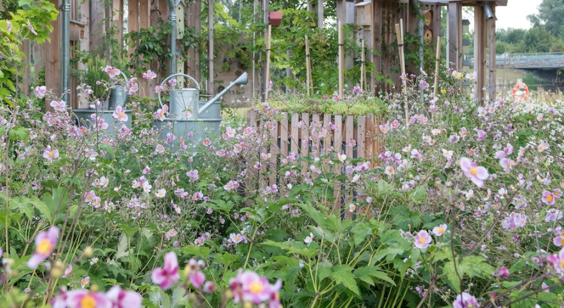 Trend, de natuur mag z'n gang gaan in 2023